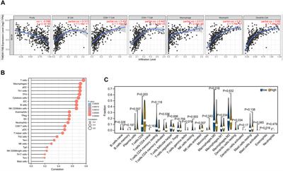 A Potential Diagnostic and Prognostic Biomarker TMEM176B and Its Relationship With Immune Infiltration in Skin Cutaneous Melanoma